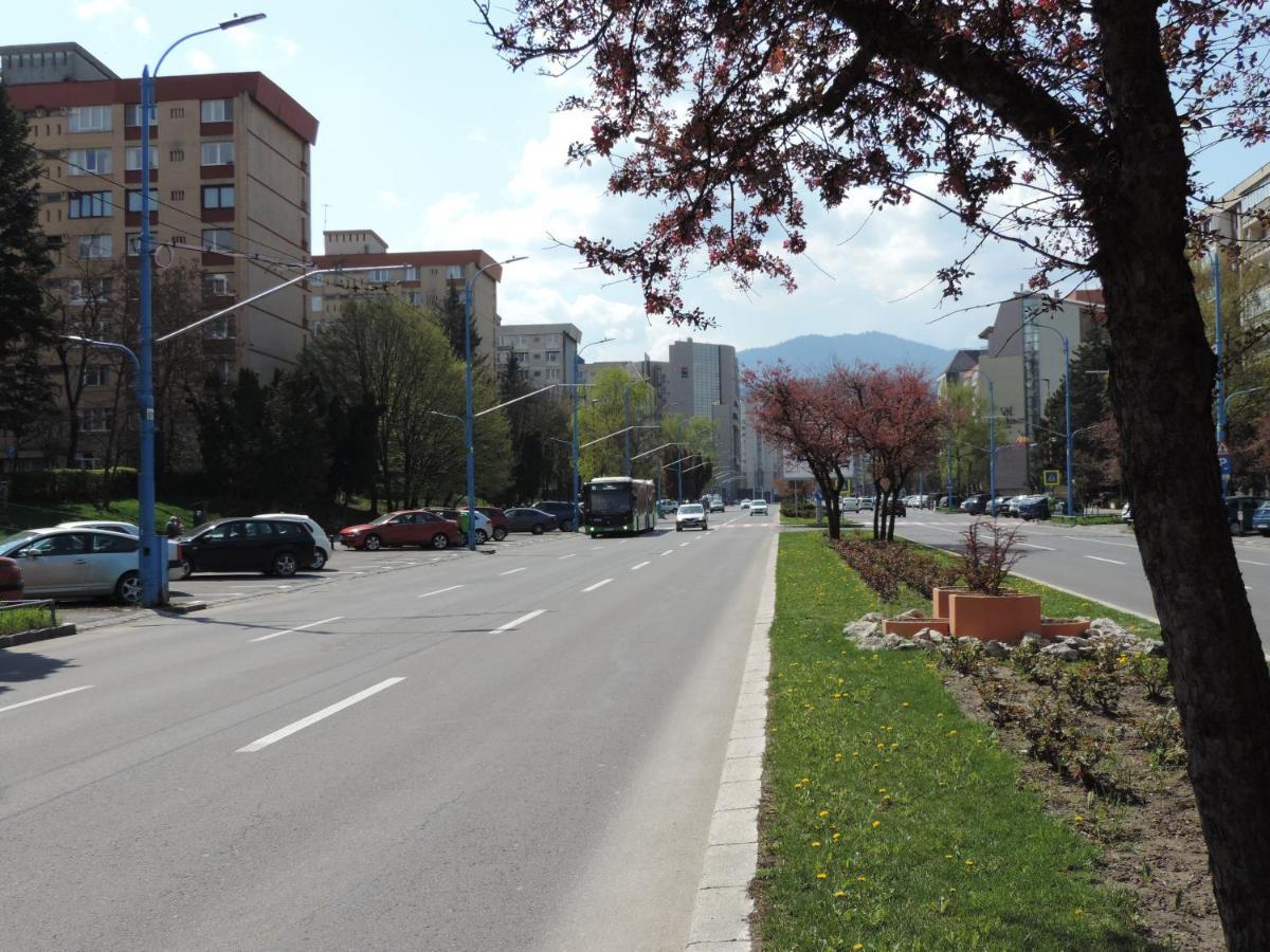 Victoriei Boulevard Private Apartment Braşov Exterior foto