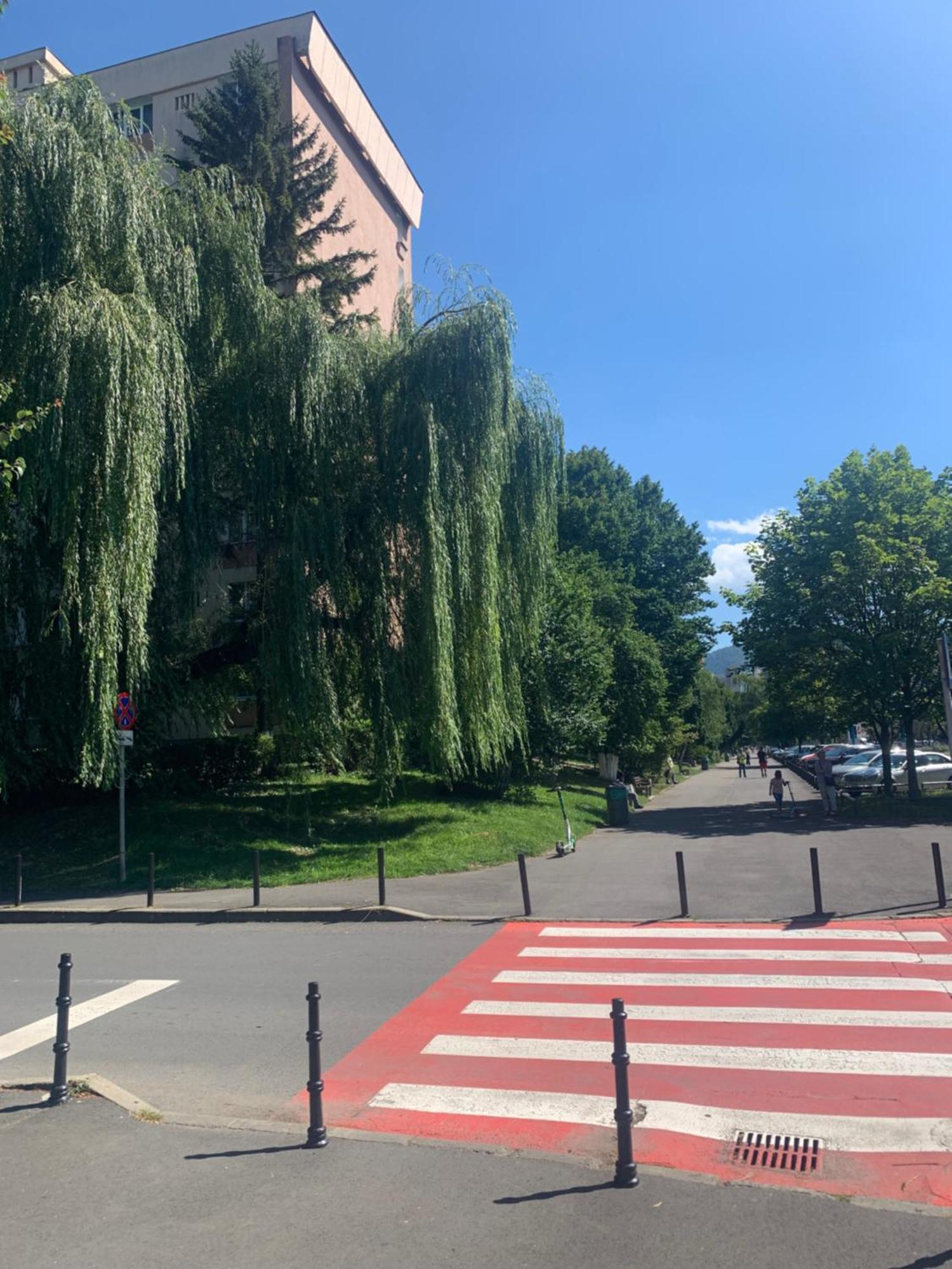 Victoriei Boulevard Private Apartment Braşov Exterior foto