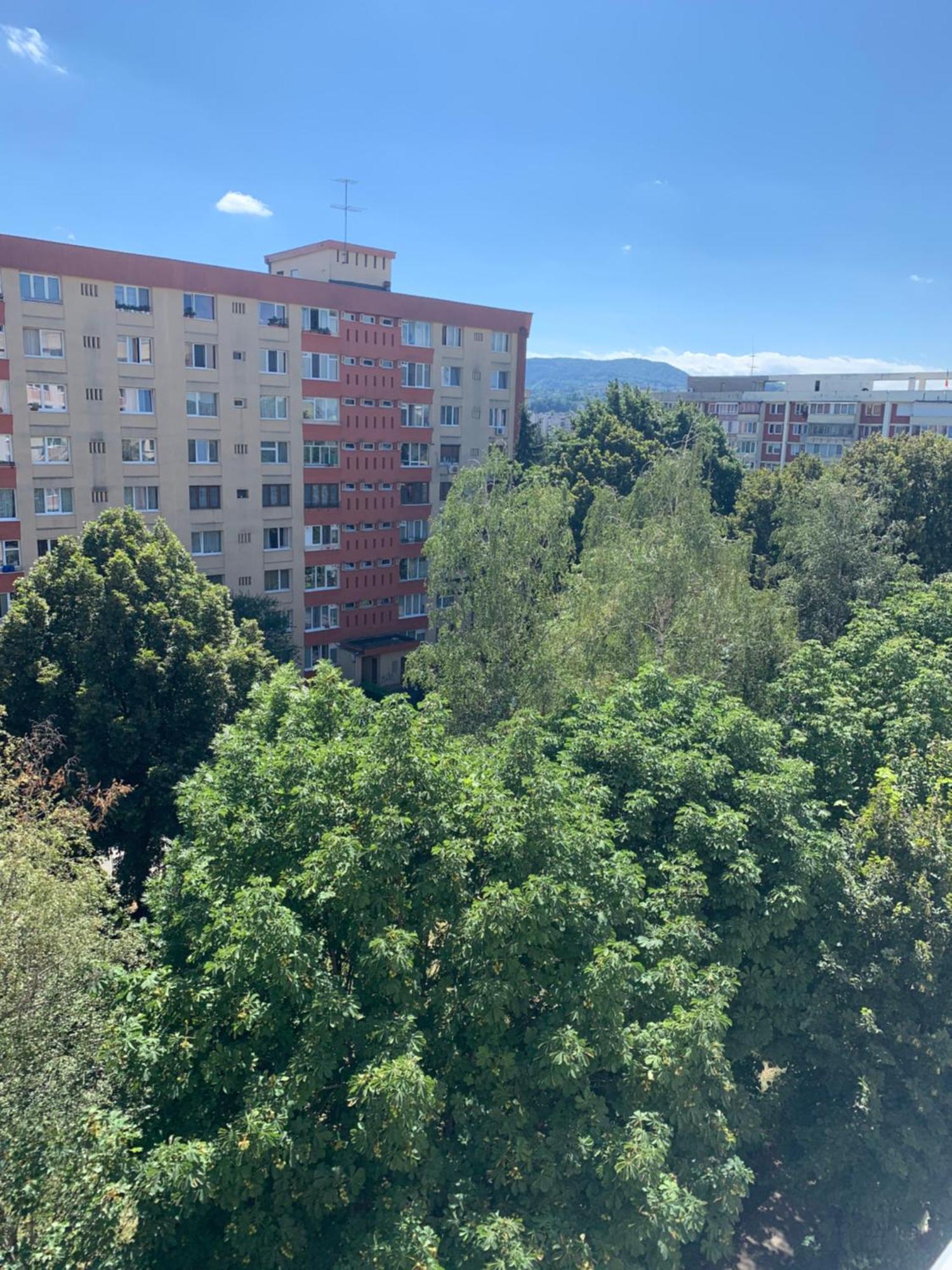 Victoriei Boulevard Private Apartment Braşov Exterior foto